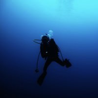 Scuba-Diver-by-Ian-Myles